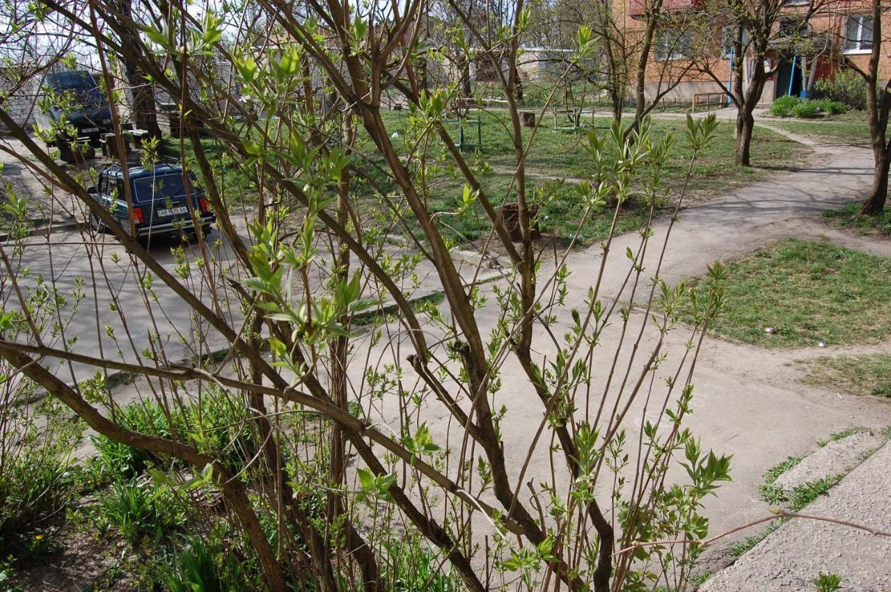 Аренда Квартиры Или Комнат В Квартире Zhmerynka Bagian luar foto